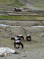 11-Peru-Auzangate_Trek-007