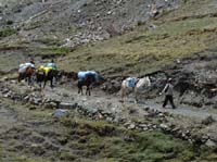 11-Peru-Auzangate_Trek-011