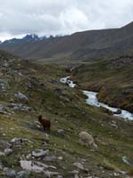 11-Peru-Auzangate_Trek-017