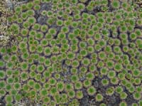 11-Peru-Auzangate_Trek-059