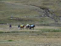 11-Peru-Auzangate_Trek-061