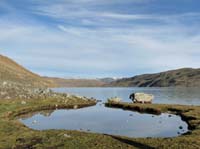 11-Peru-Auzangate_Trek-092