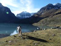 11-Peru-Auzangate_Trek-096