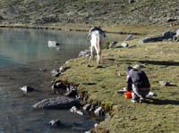 11-Peru-Auzangate_Trek-100