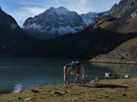 11-Peru-Auzangate_Trek-101