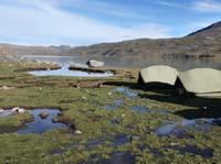 11-Peru-Auzangate_Trek-108