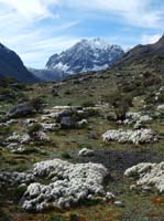 11-Peru-Auzangate_Trek-125