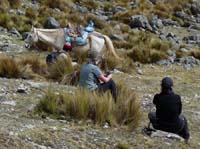 11-Peru-Auzangate_Trek-132