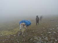 11-Peru-Auzangate_Trek-141