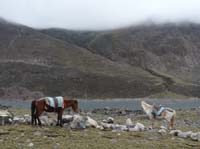 11-Peru-Auzangate_Trek-157