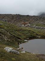 11-Peru-Auzangate_Trek-163