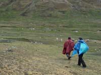 11-Peru-Auzangate_Trek-176