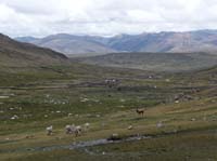 11-Peru-Auzangate_Trek-178