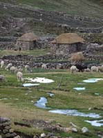 11-Peru-Auzangate_Trek-195