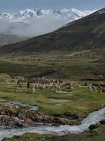 11-Peru-Auzangate_Trek-223