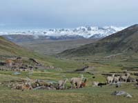 11-Peru-Auzangate_Trek-228