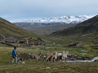 11-Peru-Auzangate_Trek-232