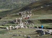 11-Peru-Auzangate_Trek-233