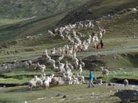 11-Peru-Auzangate_Trek-235