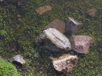 11-Peru-Auzangate_Trek-243