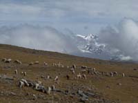 11-Peru-Auzangate_Trek-299