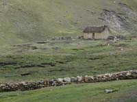 11-Peru-Auzangate_Trek-352