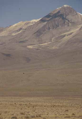 peru-colca-patapampa-2001-02-011