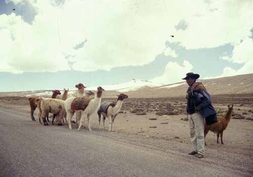 peru-colca-patapampa-2001-02-021