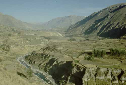 peru-colca-patapampa-2001-02-031