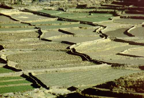 peru-colca-patapampa-2001-02-033