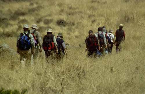 peru-colca-patapampa-2001-02-062