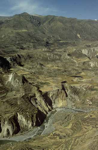 peru-colca-patapampa-2001-02-063
