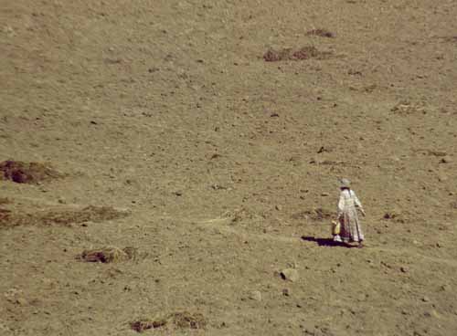 peru-colca-patapampa-2001-02-068