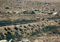 peru-colca-patapampa-2001-02-012