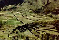 peru-colca-patapampa-2001-02-032