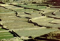 peru-colca-patapampa-2001-02-033