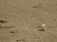 peru-colca-patapampa-2001-02-068