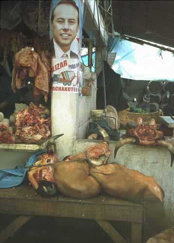 peru-huaraz-cordillera-blanca-2001-02-021