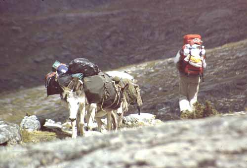 peru-huaraz-cordillera-blanca-2001-02-049