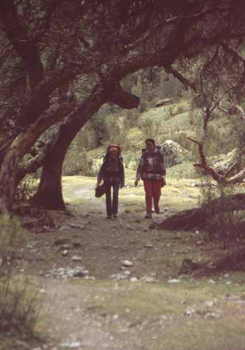 peru-huaraz-cordillera-blanca-2001-02-050