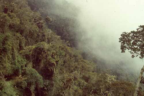 peru-inkatrail-2001-02-010