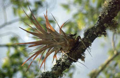 peru-inkatrail-2001-02-014