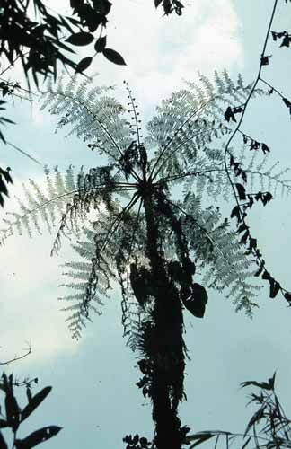 peru-inkatrail-2001-02-015