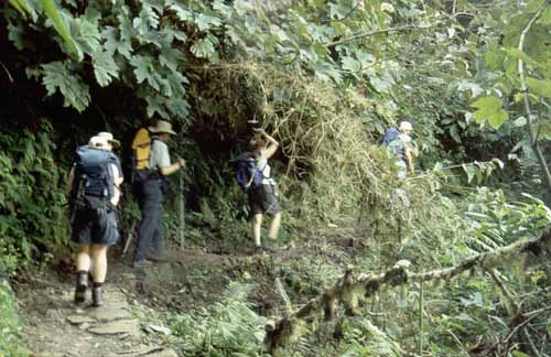 peru-inkatrail-2001-02-019