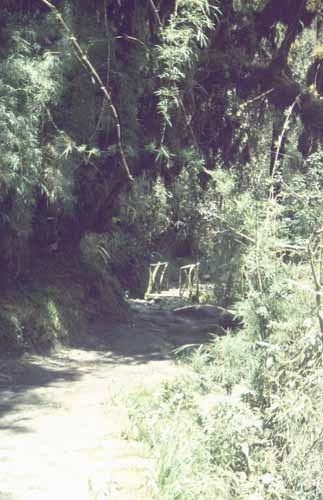 peru-inkatrail-2001-02-052