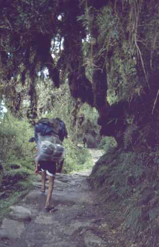 peru-inkatrail-2001-02-053