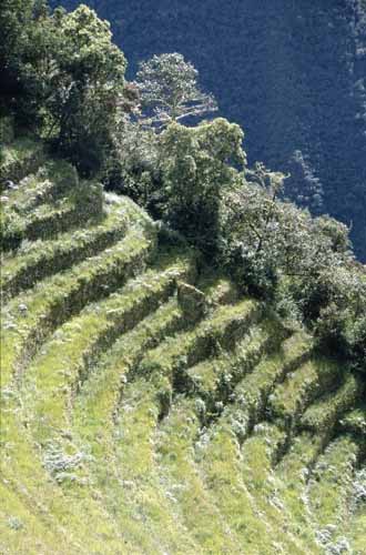 peru-inkatrail-2001-02-062