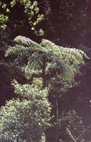 peru-inkatrail-2001-02-020