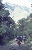 peru-inkatrail-2001-02-034