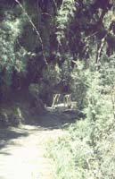 peru-inkatrail-2001-02-052